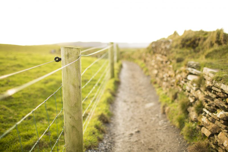 Chicken Wire Fence Installation
