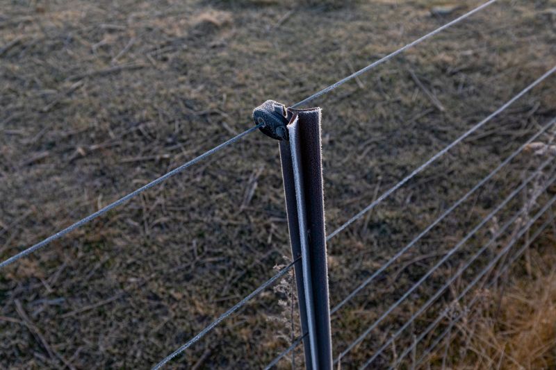 Chicken Wire Fence Cost — Cost of Chicken Wire Fence Installation