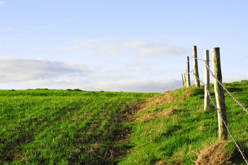 Chicken Wire Fence Cost — Cost of Chicken Wire Fence Installation