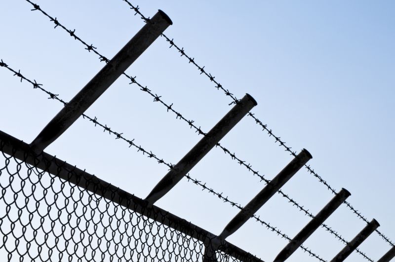 Chicken Wire Fence Installation