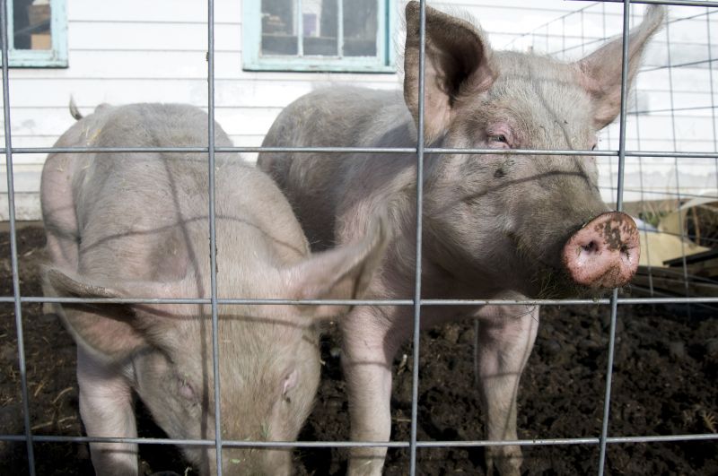 Space-Smart Ideas — On a Budget